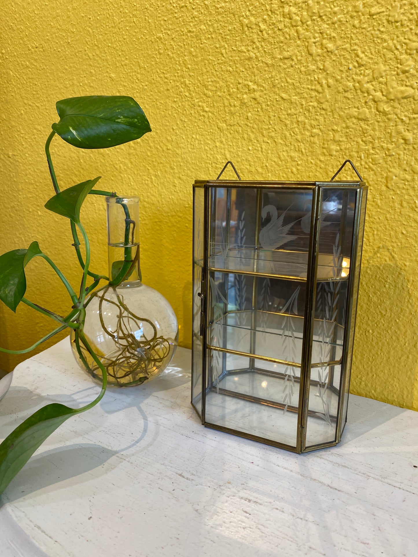 Brass and Glass Trinket Shelf Box. Small Vintage Display Case.