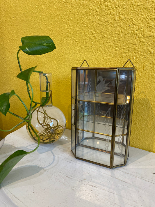Brass and Glass Trinket Shelf Box. Small Vintage Display Case.